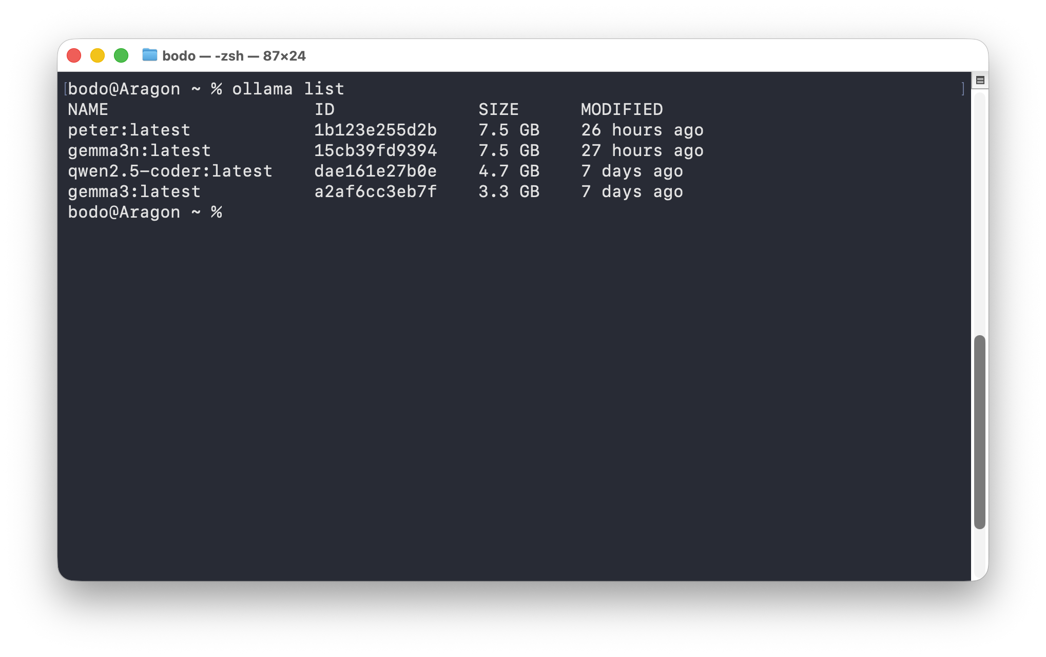ollama list command in the terminal