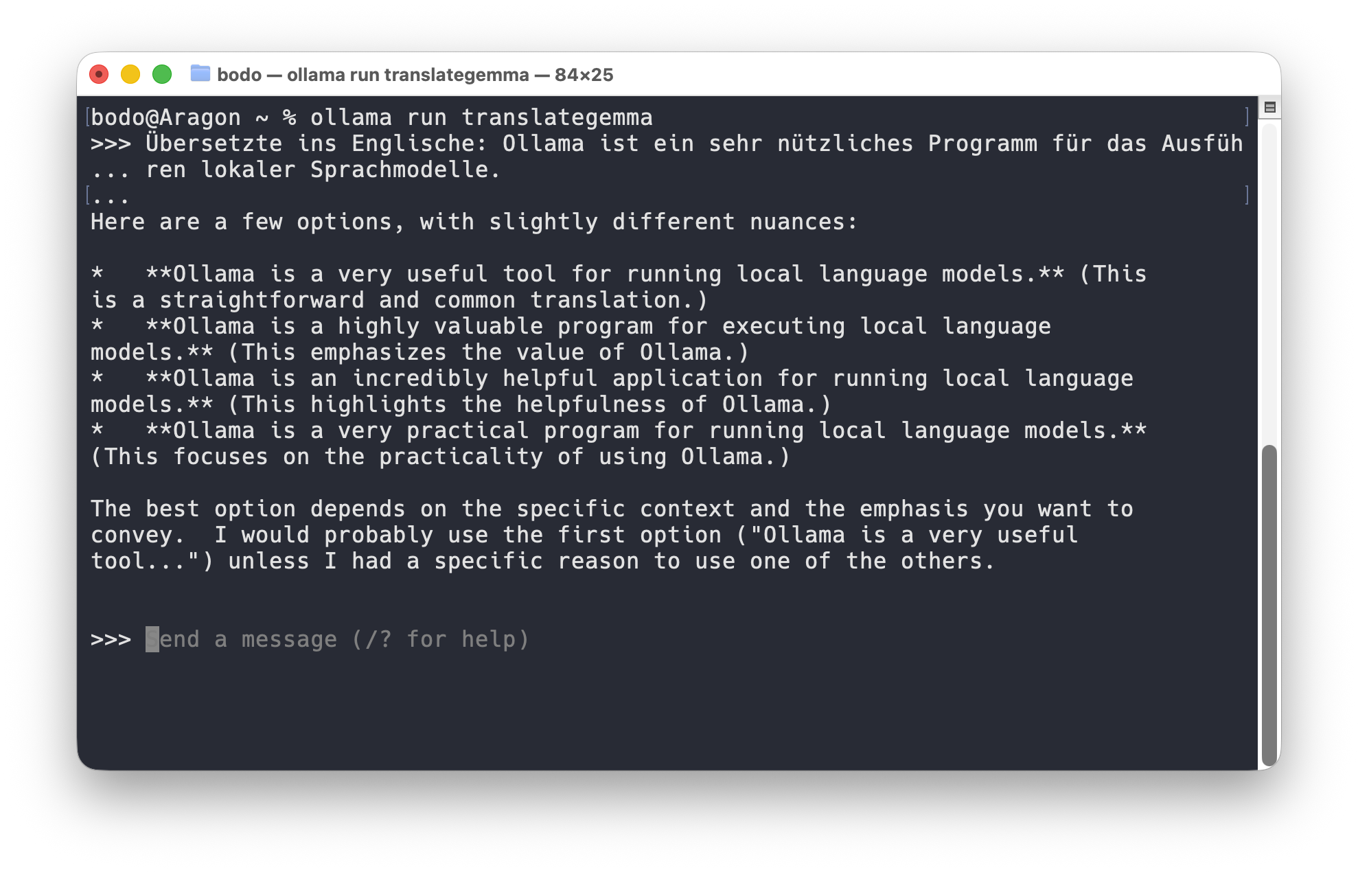 Ollama im Terminal von macOS